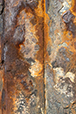 Patina 7